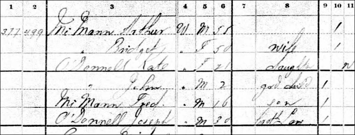 Census 1880, O_Donnell detail